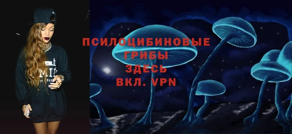PSILOCYBIN Алзамай