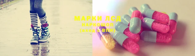 PSILOCYBIN Алзамай