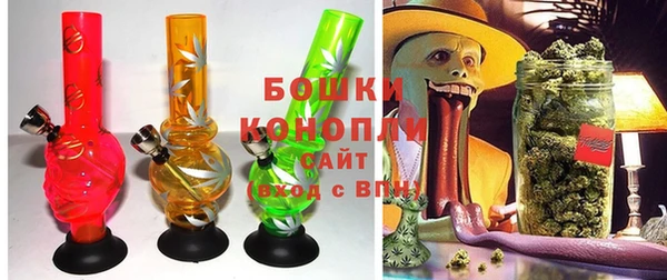 PSILOCYBIN Алзамай