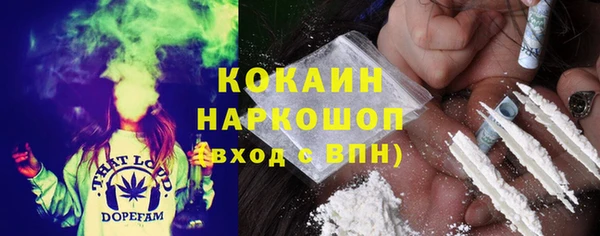 PSILOCYBIN Алзамай