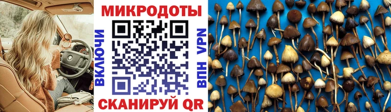 Галлюциногенные грибы Magic Shrooms  Тайшет 